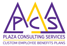 Plaza Consulting Services Logo